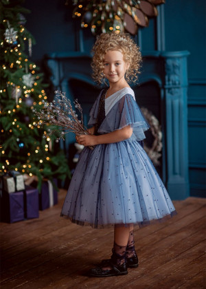V Neck Two-tone Blue Sequin Pearls Tulle Fashion Flower Girl Dress